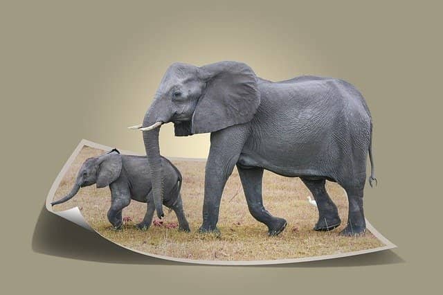 Lorem ipsum dolor sit amet